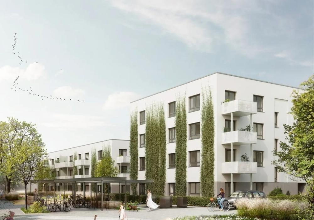 Typenhaus Plus