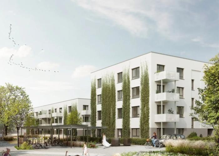 Typenhaus Plus