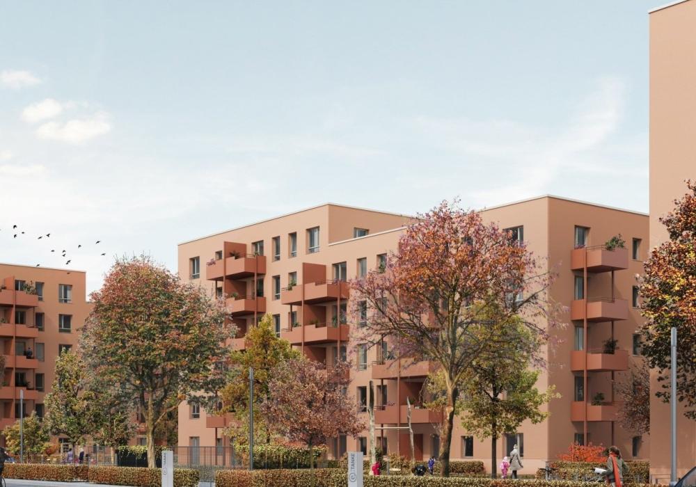 Typenhaus Plus