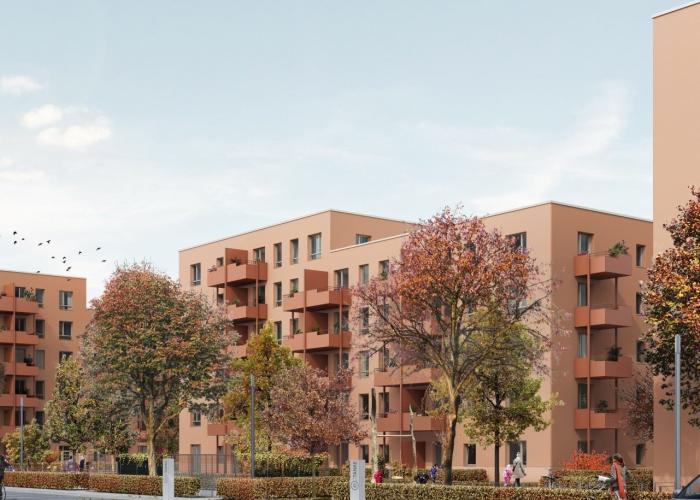 Typenhaus Plus